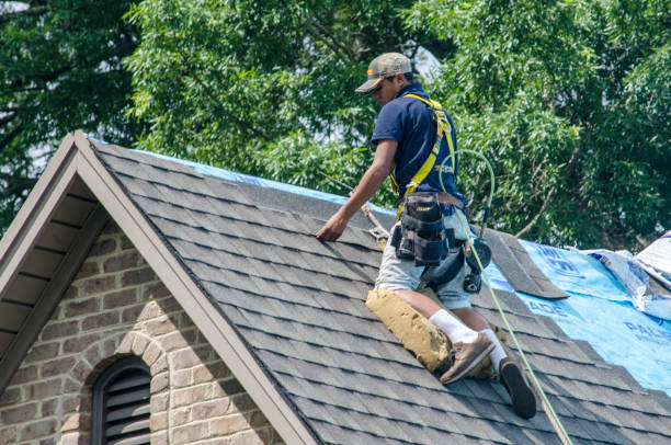 Professional Roofing Contractor in Pembroke, NC